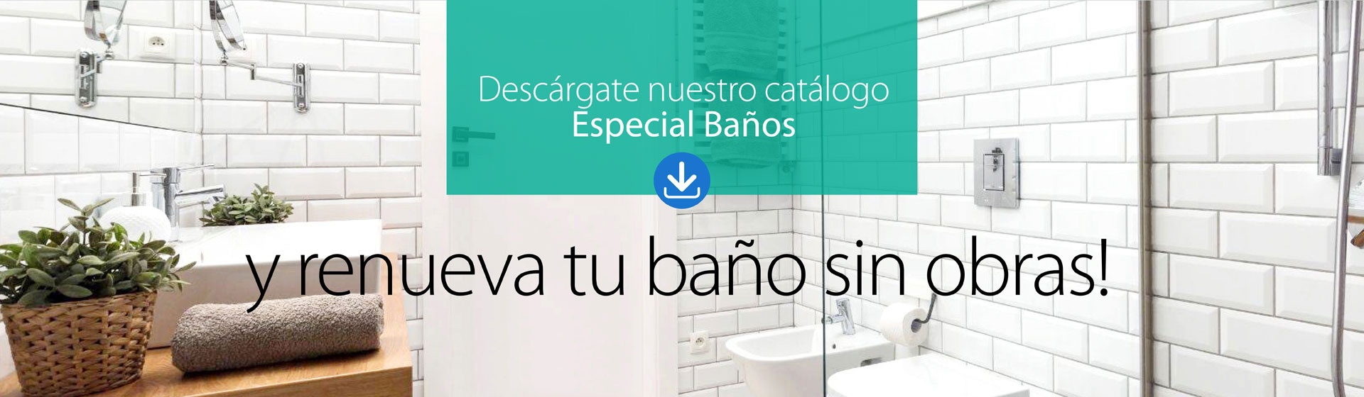 Catálogo especial baños